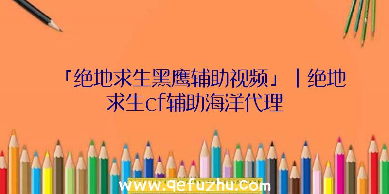 「绝地求生黑鹰辅助视频」|绝地求生cf辅助海洋代理